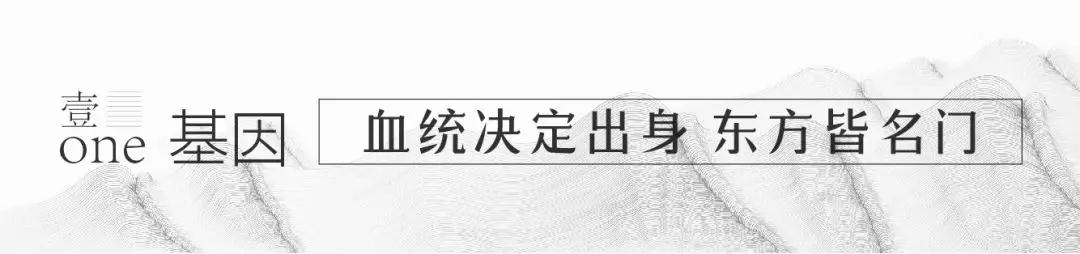 海搏网(中国区)官方直营网站_产品1246