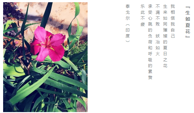 海搏网(中国区)官方直营网站_首页2141